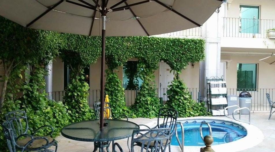 Safi Royal Luxury Centro Hotel Monterrey Ngoại thất bức ảnh A patio umbrella